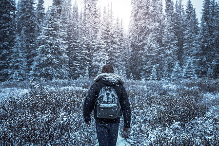man walking beside brown leaves thumbnail
