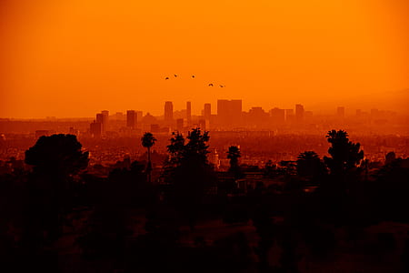 sunset over the horizon thumbnail