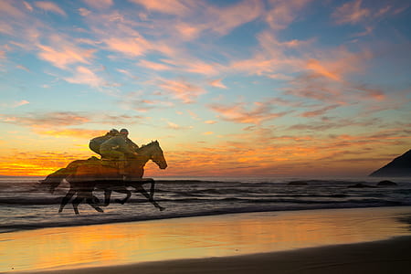 man riding horse on seashore thumbnail
