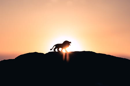 silhouette photo of lion on top of mountain thumbnail