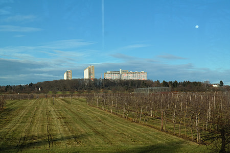 Residential Development, Homes thumbnail