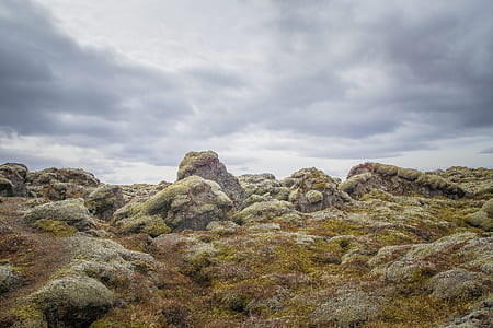 rocks covered with plants during daytime thumbnail