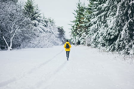 woman walking in the snow thumbnail