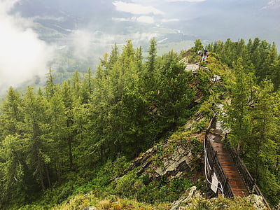 aerial view photography of bridge on mountain beside trees thumbnail