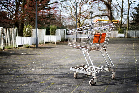 grey grocery cart thumbnail