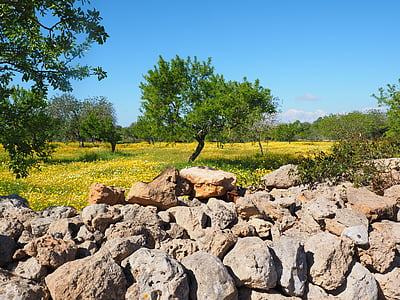 stone beside trees thumbnail