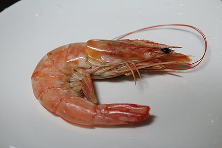 cooked shrimp on plate thumbnail