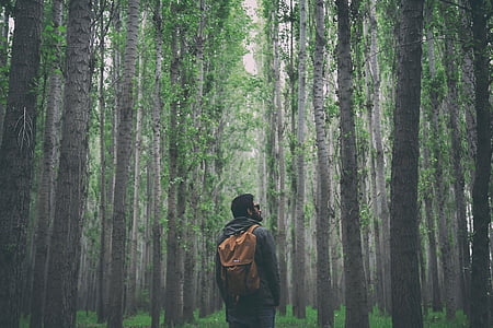 man wearing backpack standing near the tree thumbnail