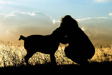 silhouette person and animal photography thumbnail