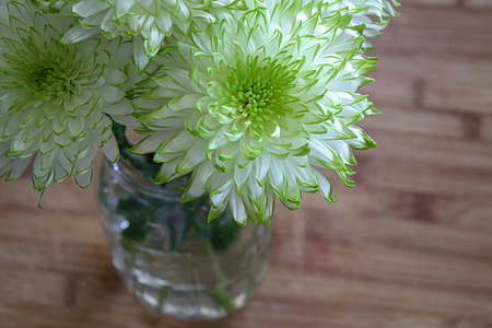 white and green flowers on clear glass vase thumbnail