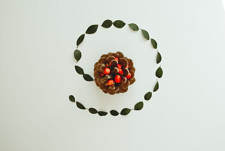 Brown Pinecone Close-up Phot thumbnail