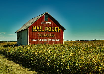 brown Chew Mail Pouch shed on field of plants thumbnail