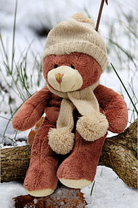 brown bear plush toy on tree branch thumbnail