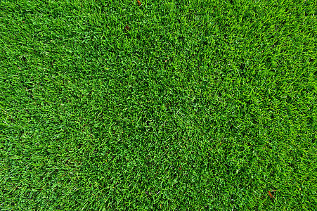 green lawn thumbnail