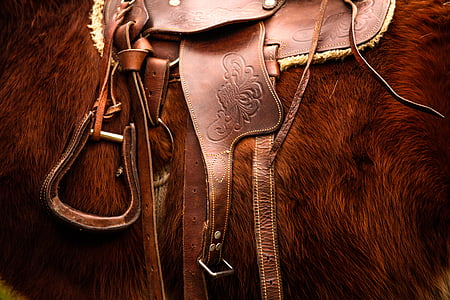 brown horse with brown leather horse saddle thumbnail