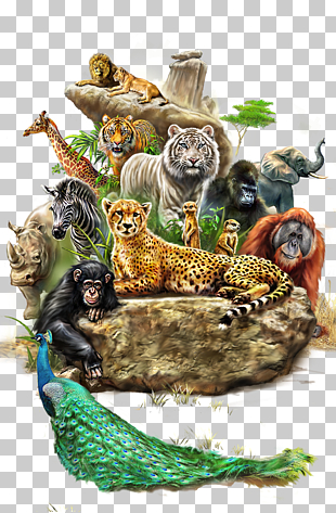 Lion The Encyclopedia of Animals: A Complete Visual Guide Giraffe Horse, animal, animals gathering on forest illustration PNG clipart