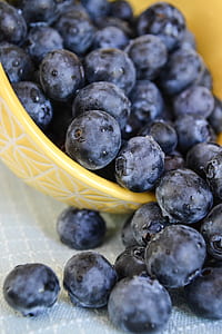 bunch of blueberries on bowl thumbnail