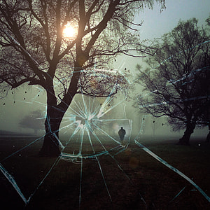 photography of sillhouete of person standing between two trees thumbnail