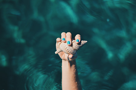 person with blue manicure holding brown shell thumbnail