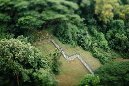 aerial view photography of person walking on staircase surrounded by green trees thumbnail