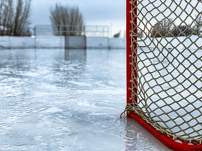 red and white ice hockey field near trees thumbnail