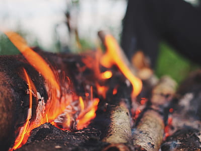 macro photo of wood with ember thumbnail