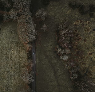 aerial photography of road on forest thumbnail