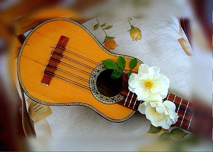 white flowers on brown stringed instrument thumbnail
