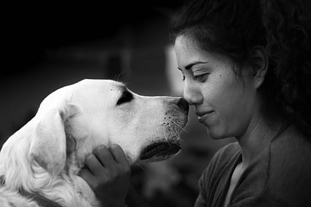 grayscale photo of dog and woman thumbnail