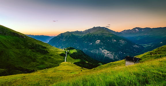 field of green grass during daytime thumbnail