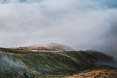 landscape photo of mountain and fog thumbnail