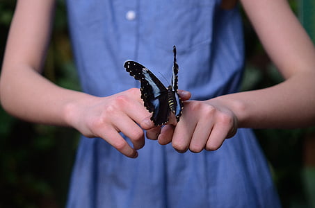 selective focus photography of white and black butterfly thumbnail