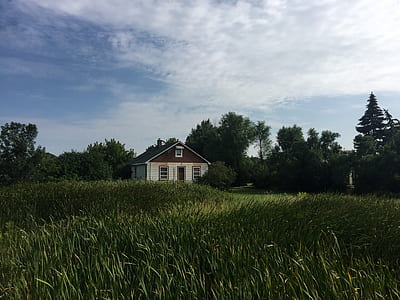 white house in the surrounded by grass thumbnail