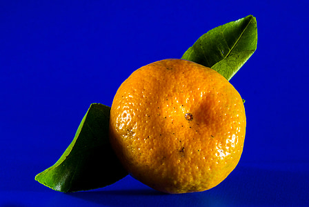 orange fruit thumbnail