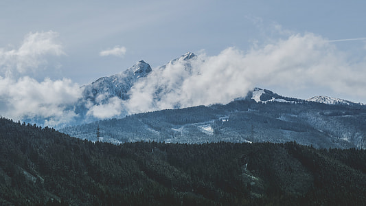 green trees on mountain with clouds thumbnail