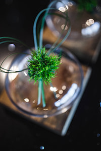 Little grass bundle with a ribbon in a glass jar thumbnail
