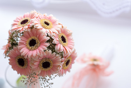 pink petaled flowers selective focus photography thumbnail