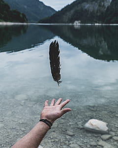 right hand catching black feather near body of water thumbnail