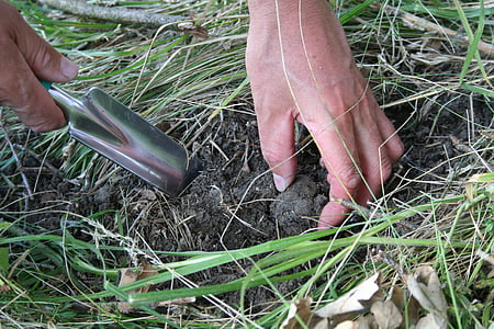 human hand holding shovel while plowing thumbnail