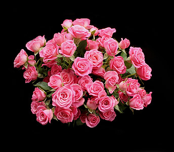 bouquet of pink roses thumbnail
