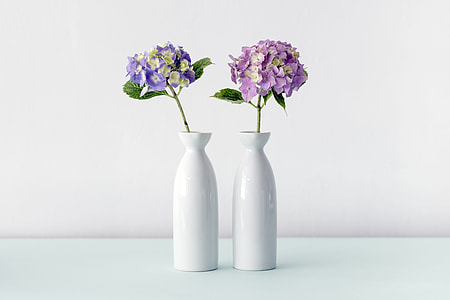 two purple and white flowers in vases thumbnail