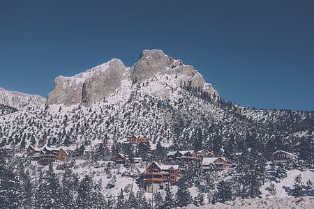 brow houses on hill surrounded with trees thumbnail