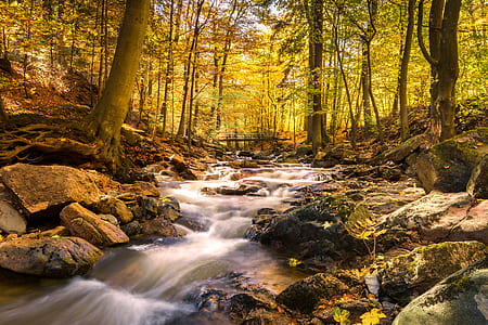 water falls near on green trees thumbnail