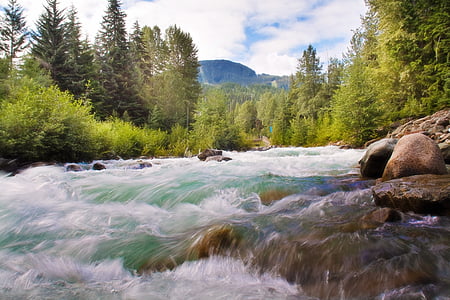 painting of river surrounded by trees thumbnail