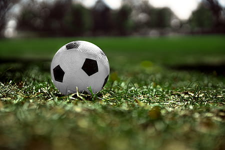 Soccer Ball In Grass Photo thumbnail