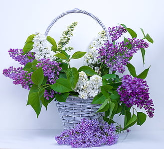 purple and white petaled flower arrangement with white wicker basket thumbnail