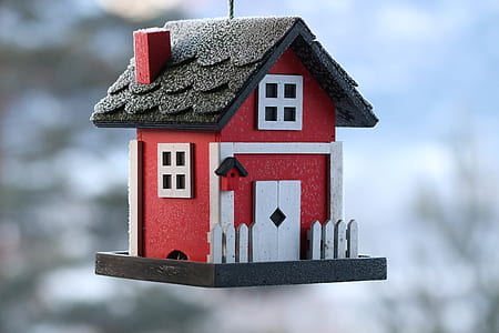 shallow focus photography of red and white house hanging decoration thumbnail