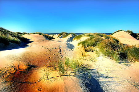 dune sand thumbnail