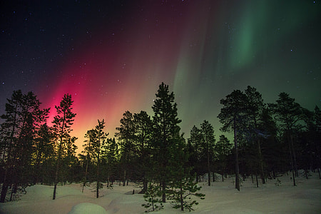 aurora sky under night thumbnail