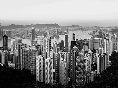 Grayscale Photography of High-rise Buildings thumbnail